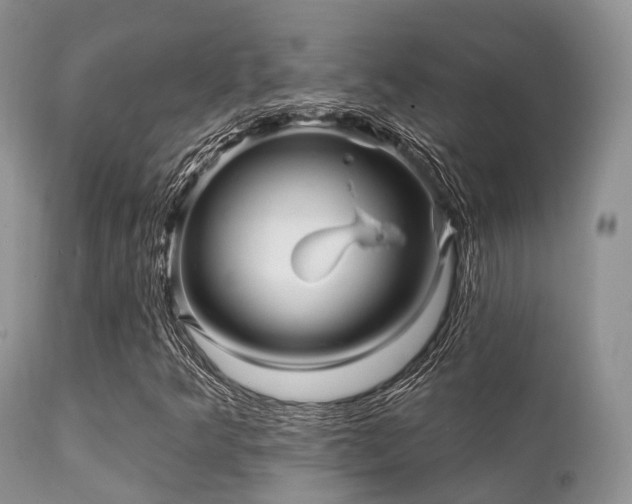 X0000112101349200908111408