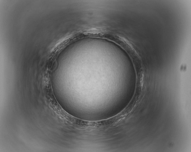 X0000112101350200908111408