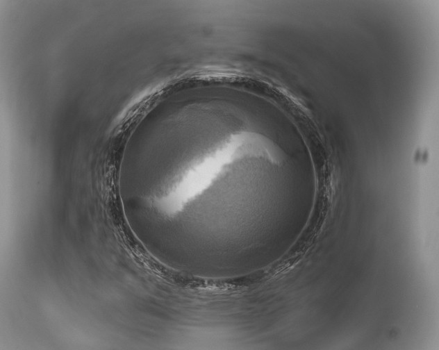 X0000112101351200908111408