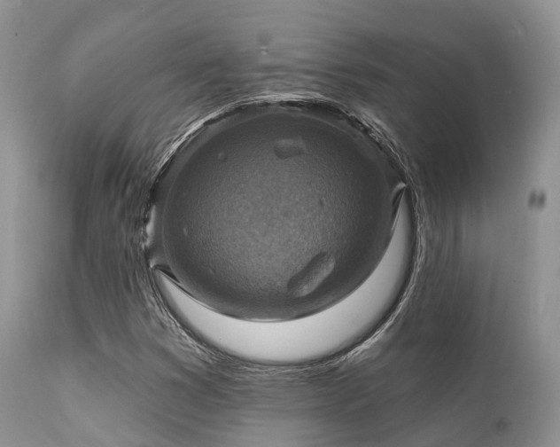 X0000112101353200908111408