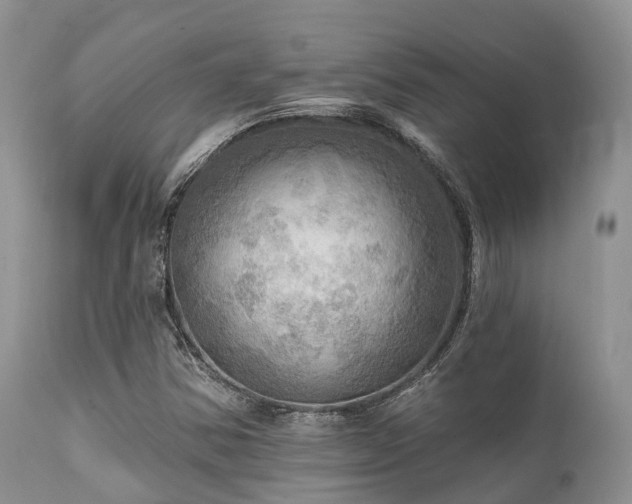 X0000112101354200908111407