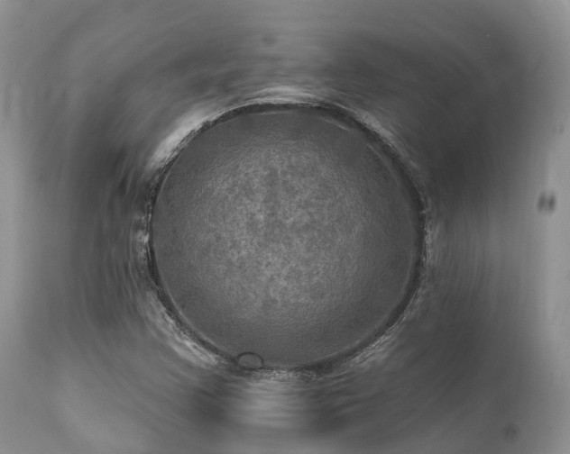 X0000112101355200908111407