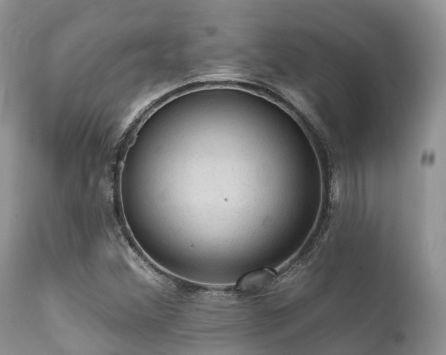 X0000112101356200908111407