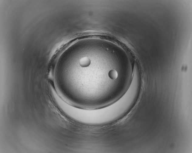 X0000112101357200908111407