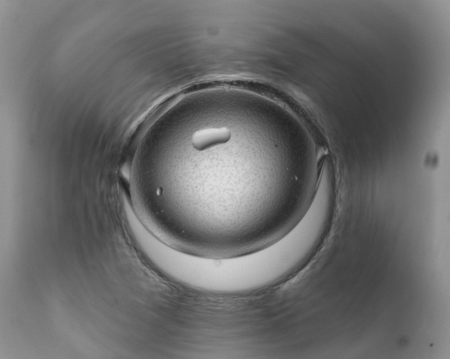X0000112101361200908111407