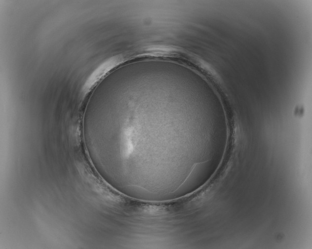 X0000112101362200908111407