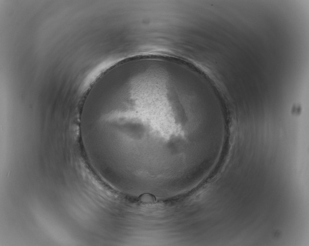 X0000112101363200908111407