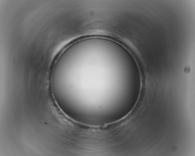 X0000112101364200908111407
