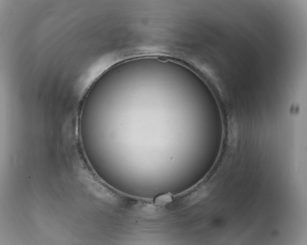 X0000112101365200908111407