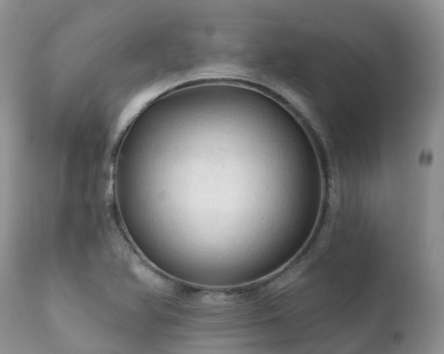 X0000112101366200908111407