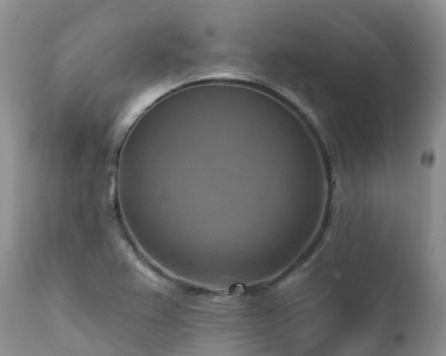 X0000112101367200908111407