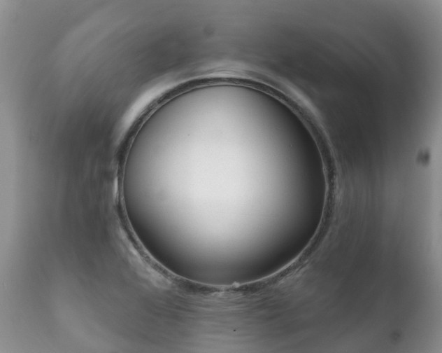 X0000112101368200908111407