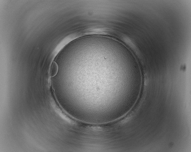 X0000112101370200908111407