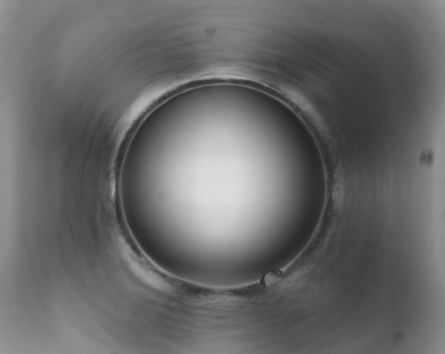 X0000112101372200908111407