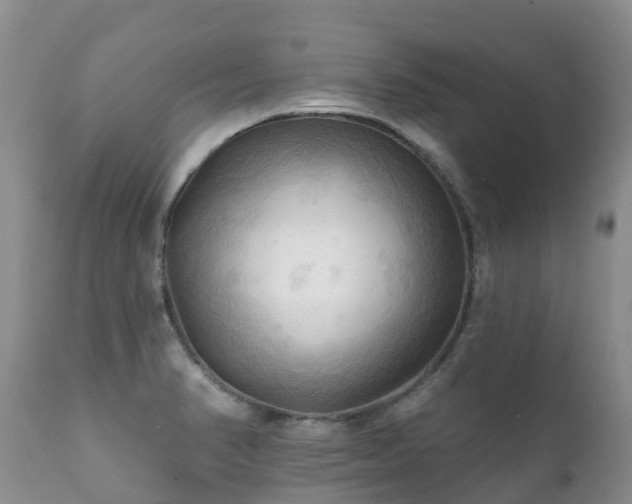 X0000112101374200908111407