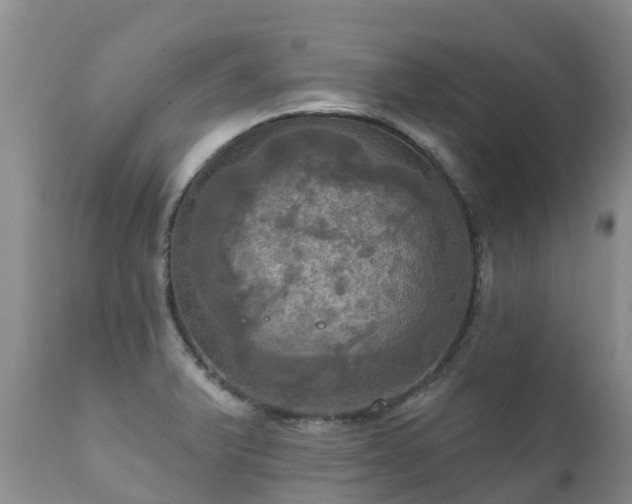X0000112101375200908111407