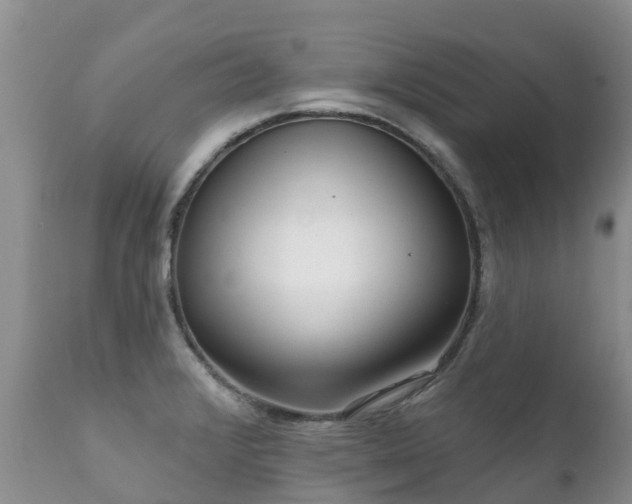 X0000112101376200908111407