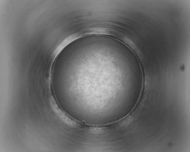 X0000112101378200908111407