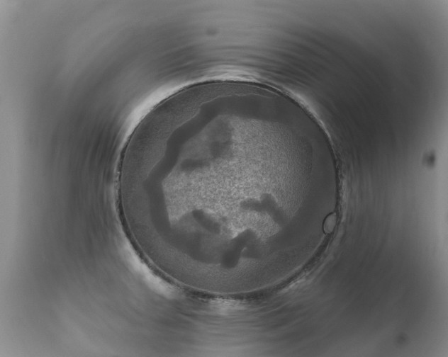 X0000112101379200908111407