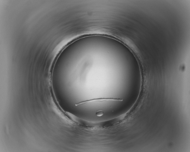 X0000112101380200908111407