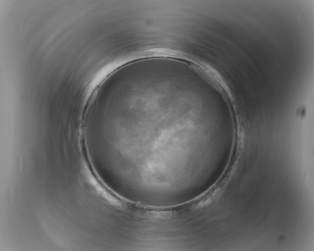 X0000112101381200908111407
