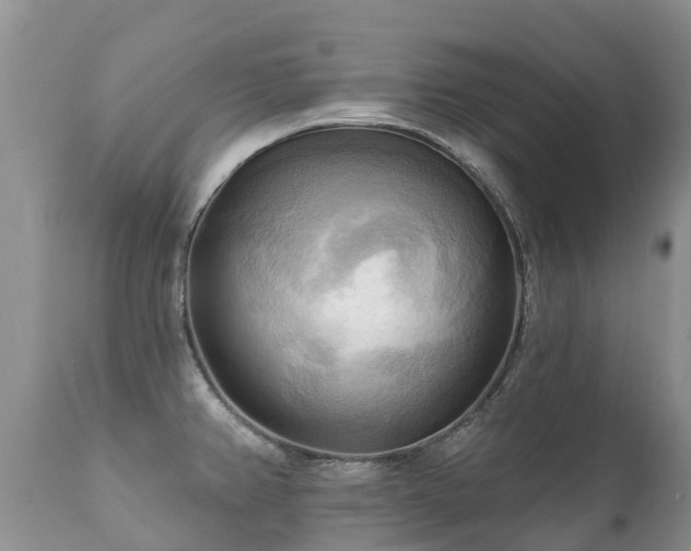 X0000112101382200908111407