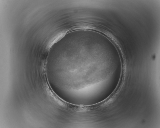 X0000112101385200908111407