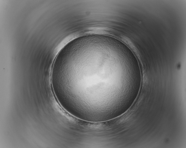 X0000112101386200908111407