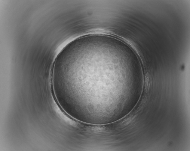 X0000112101387200908111407