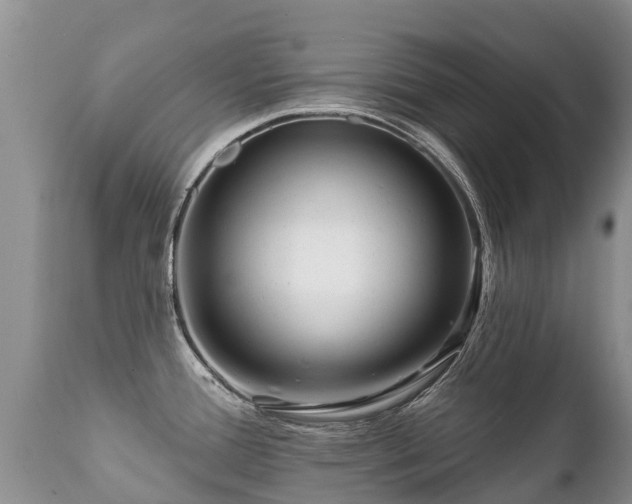 X0000112101388200908111407
