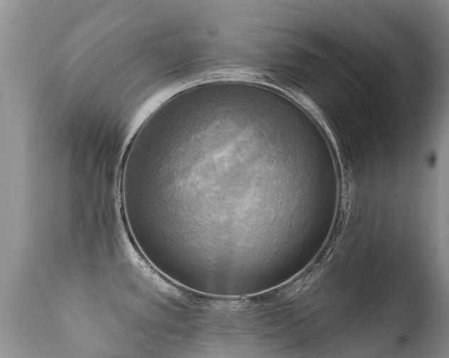 X0000112101389200908111407