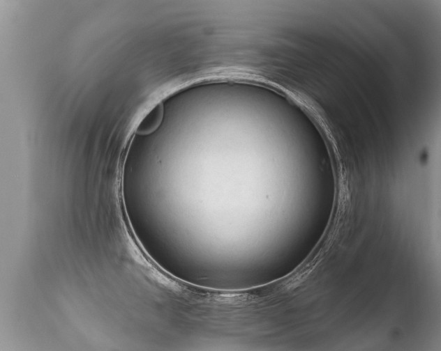 X0000112101390200908111407