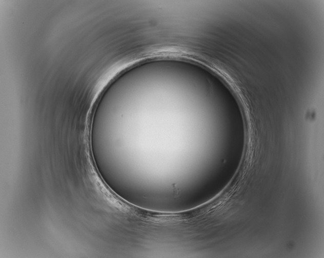 X0000112101392200908111407