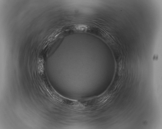 X0000112101394200908111406