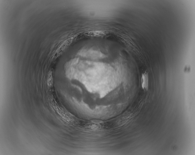 X0000112101395200908111406