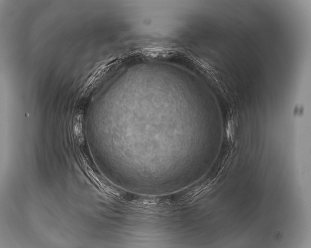 X0000112101396200908111406
