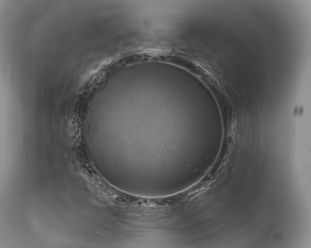 X0000112101398200908111406
