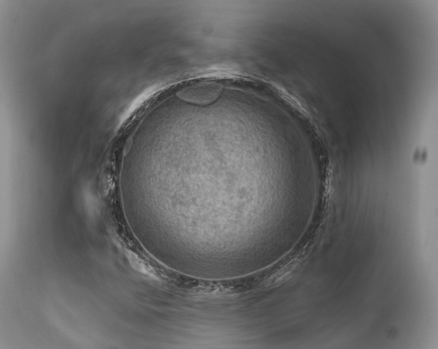 X0000112101400200908111406