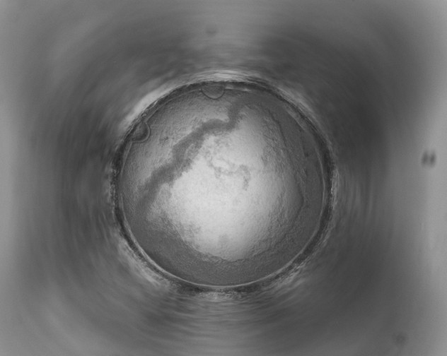 X0000112101404200908111406