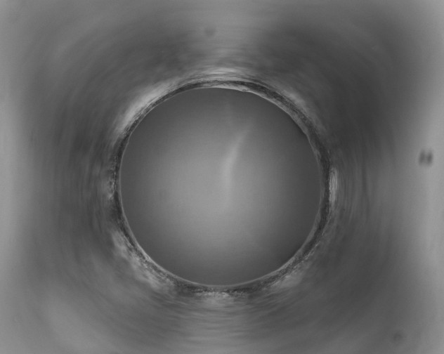 X0000112101405200908111406