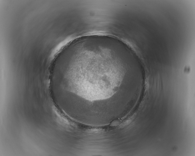 X0000112101406200908111406