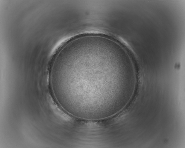 X0000112101408200908111407
