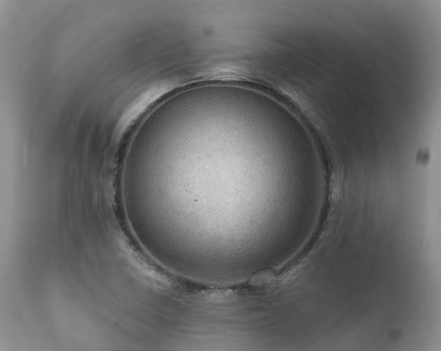 X0000112101410200908111407