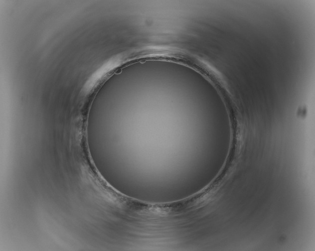 X0000112101411200908111407