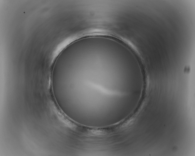 X0000112101413200908111407