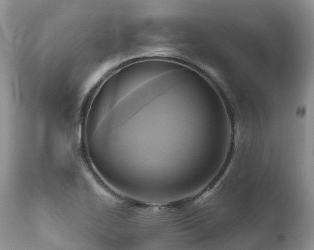 X0000112101414200908111407