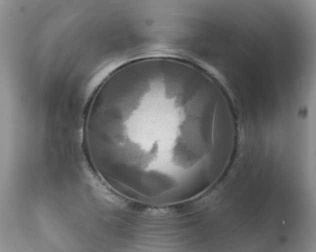 X0000112101415200908111407