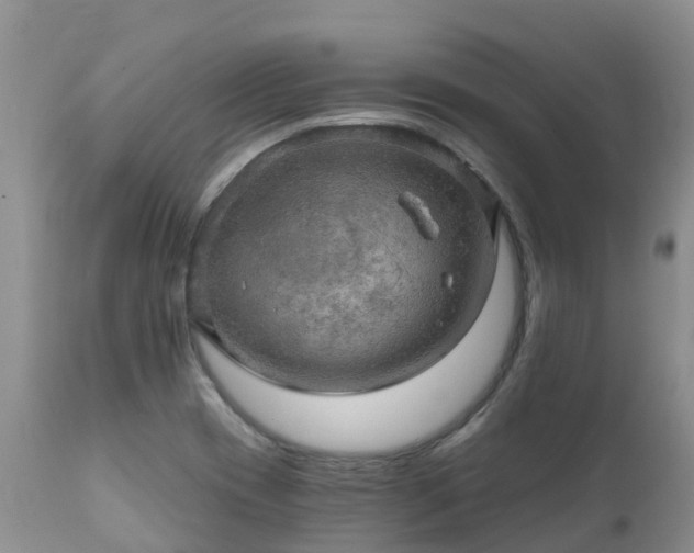 X0000112101417200908111407