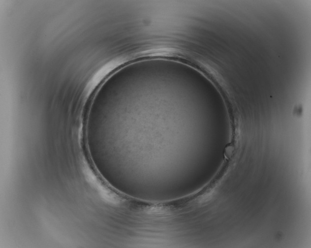 X0000112101418200908111407