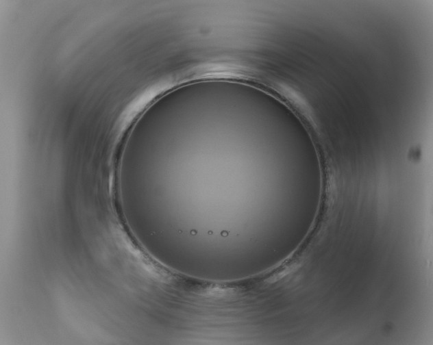 X0000112101419200908111407